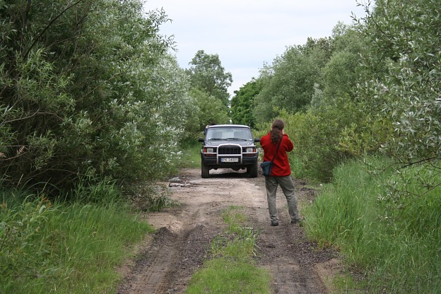 jeep_i_foxx